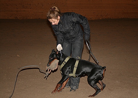 Training in Estonia 3/2007